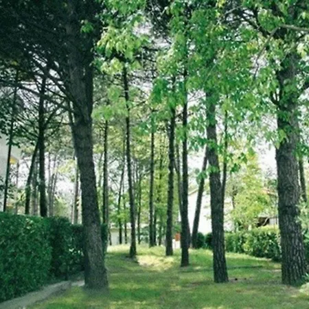 Cozy Near The In Lignano
